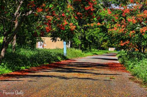 Parque Del Este, SDE